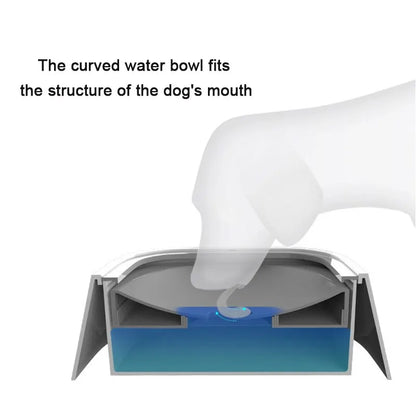 True4Paws™ Pet Drinking Water Bowls 🐾🐾🐾