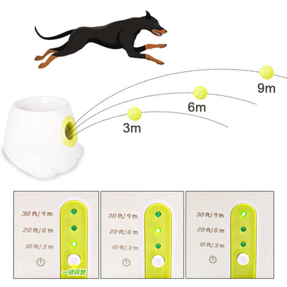 True4Paws™ Catapult For Dogs 🐾🐾🐾